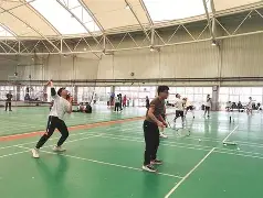 MK-羽毛球赛场再起风云:徽州鲨队队守住胜果胶东独角兽队,脚步移动更到位争冠格局再洗牌的简单介绍